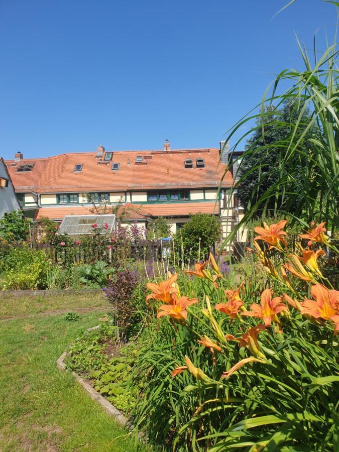 Denkmal-Ferienhaus In Dresden-Hellerau Mit Sauna Und Kamin Ngoại thất bức ảnh